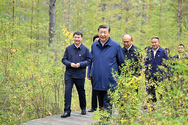 9月6日至8日，中共中央總書記、國(guó)家主席、中央軍委主席習(xí)近平在黑龍江考察。這是6日下午，習(xí)近平在大興安嶺地區(qū)漠河市漠河林場(chǎng)自然林區(qū)考察